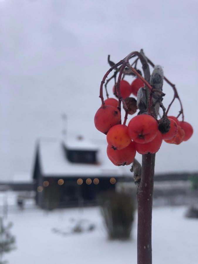 Vanaga Namins Sigulda Exterior foto